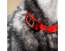 MiniFinder Dog Collar