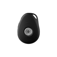 MiniFinder Pico 2G - klein, flexibel en slim GPS-alarm