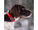 GPS necklace for hunting dogs